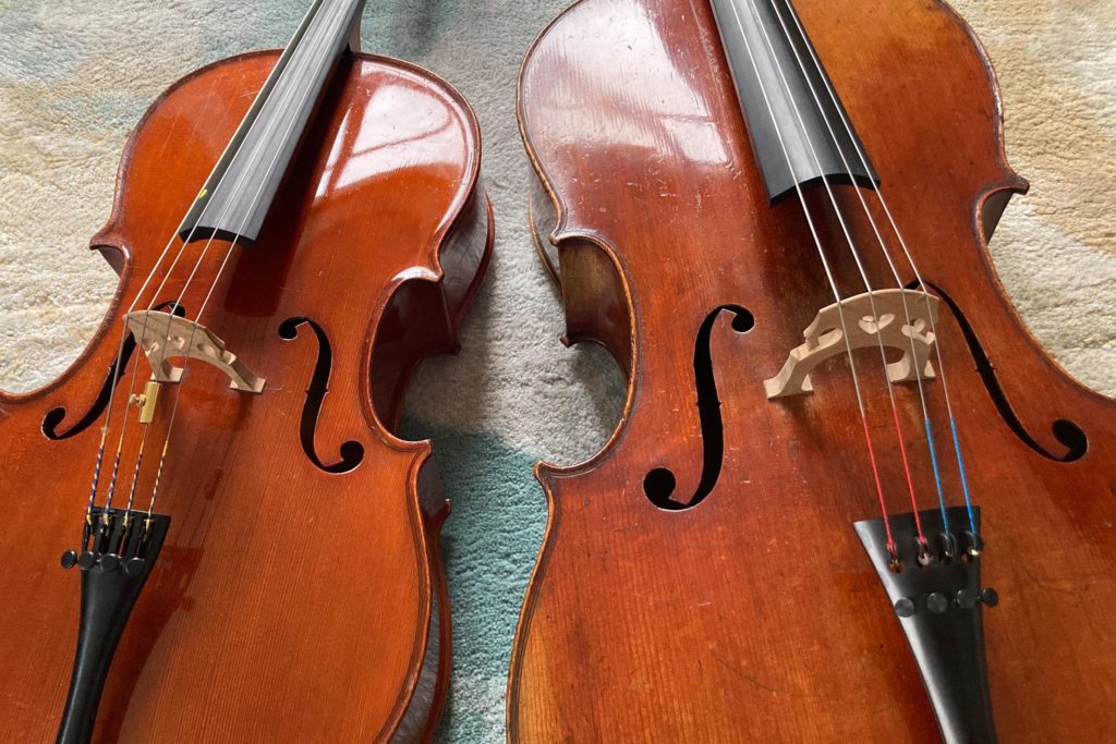 Deux violoncelles, taille adulte et taille enfant