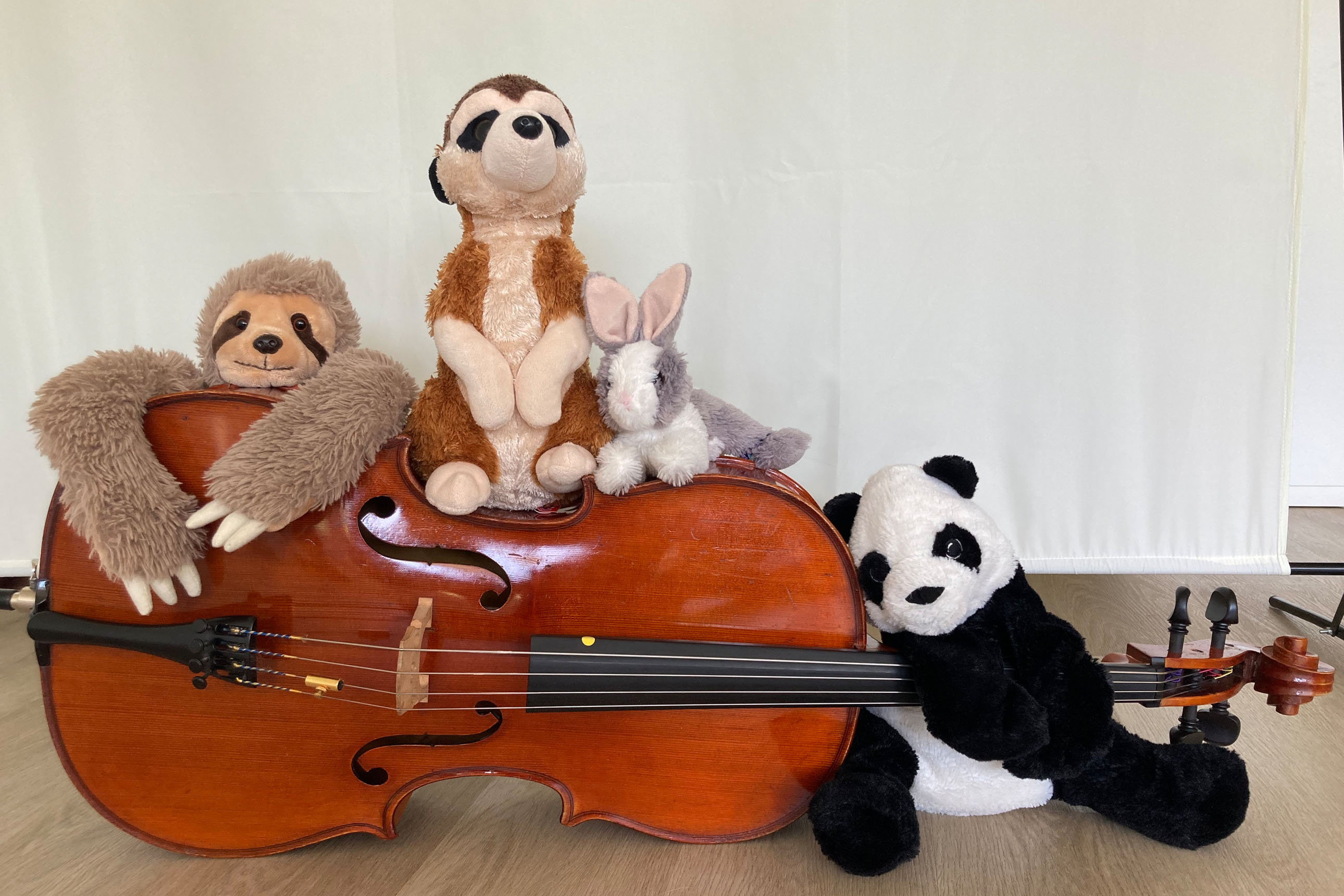 un violoncelle taille enfant et des peluches