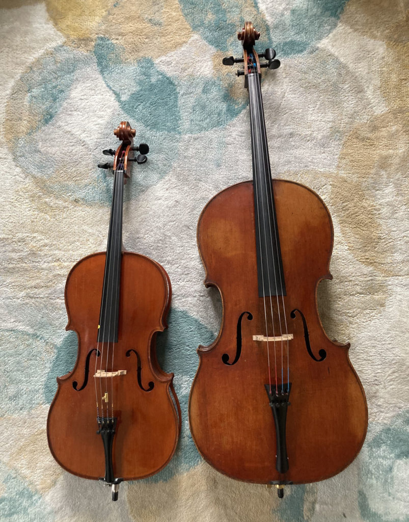 Photo de deux violoncelles : un petit, pour enfant, et un grand, pour adulte