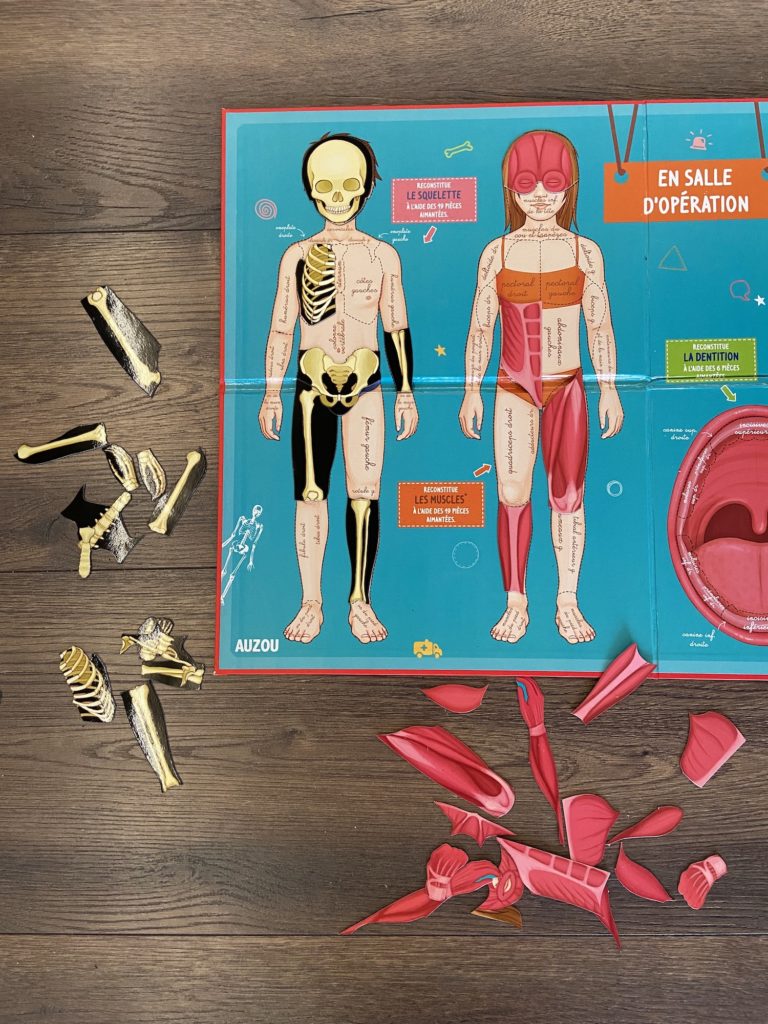 puzzle magnétique pour enfant sur le corps humain : squelette et muscles