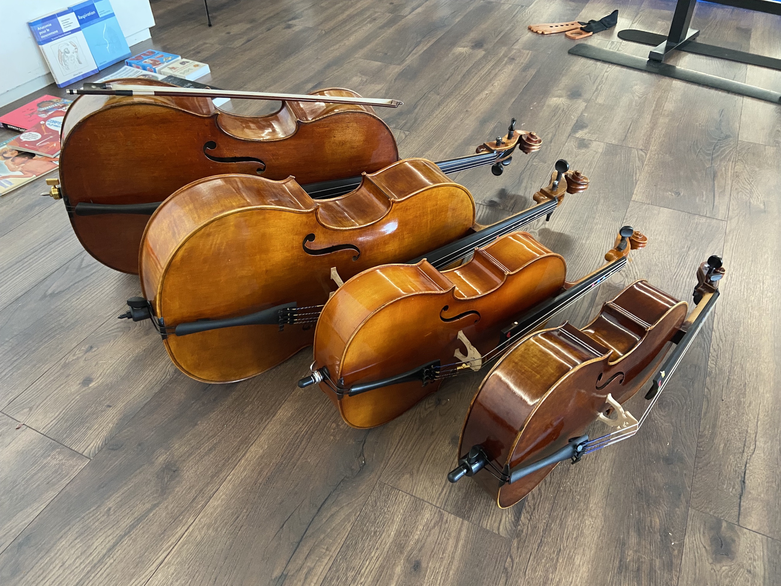 4 violoncelles de tailles différentes