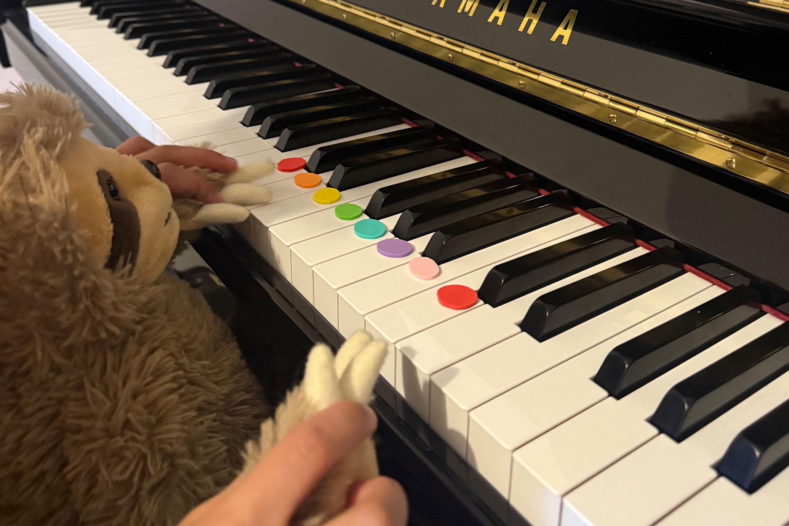 peluche de paresseux jouant du piano, tenu par les mains d'un enfant, des pastilles colorées sont posées sur les touches du piano pour indiquer les notes