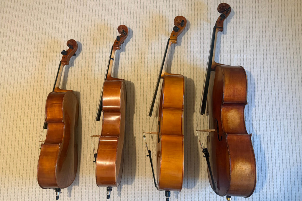 4 violoncelles de différentes tailles, de profil