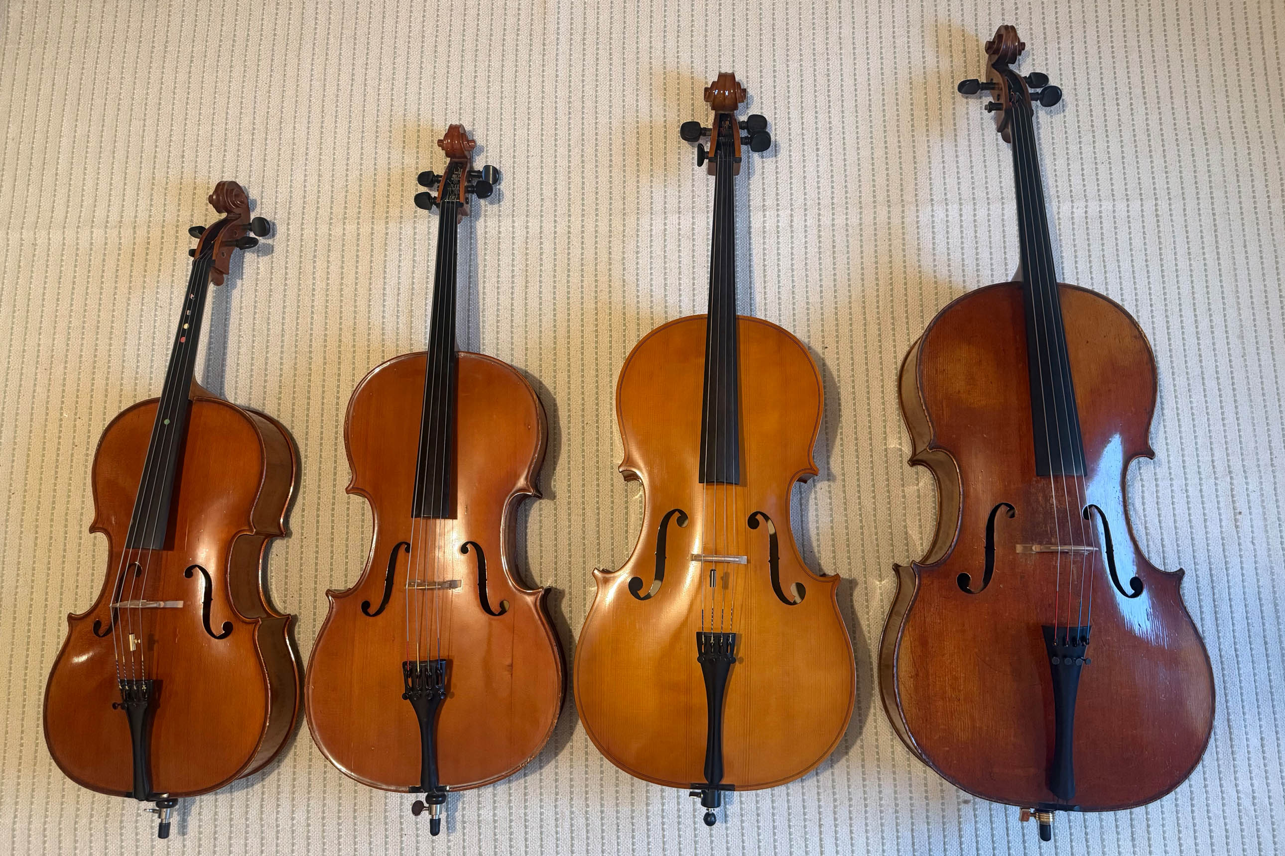 4 violoncelles de différentes tailles : 1/4, 1/2, 3/4, 4/4