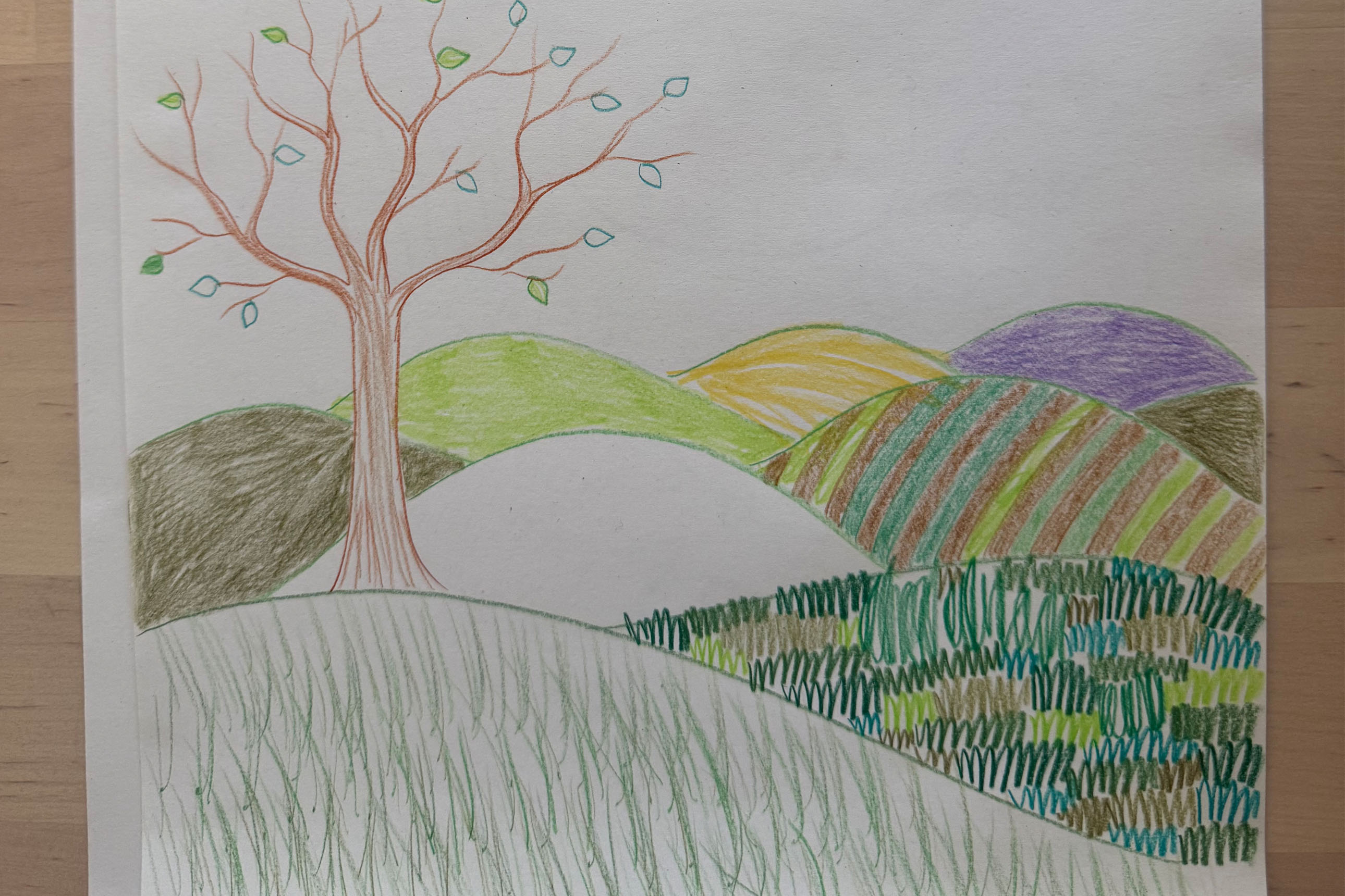 dessin d'enfant: paysage de collines, arbre