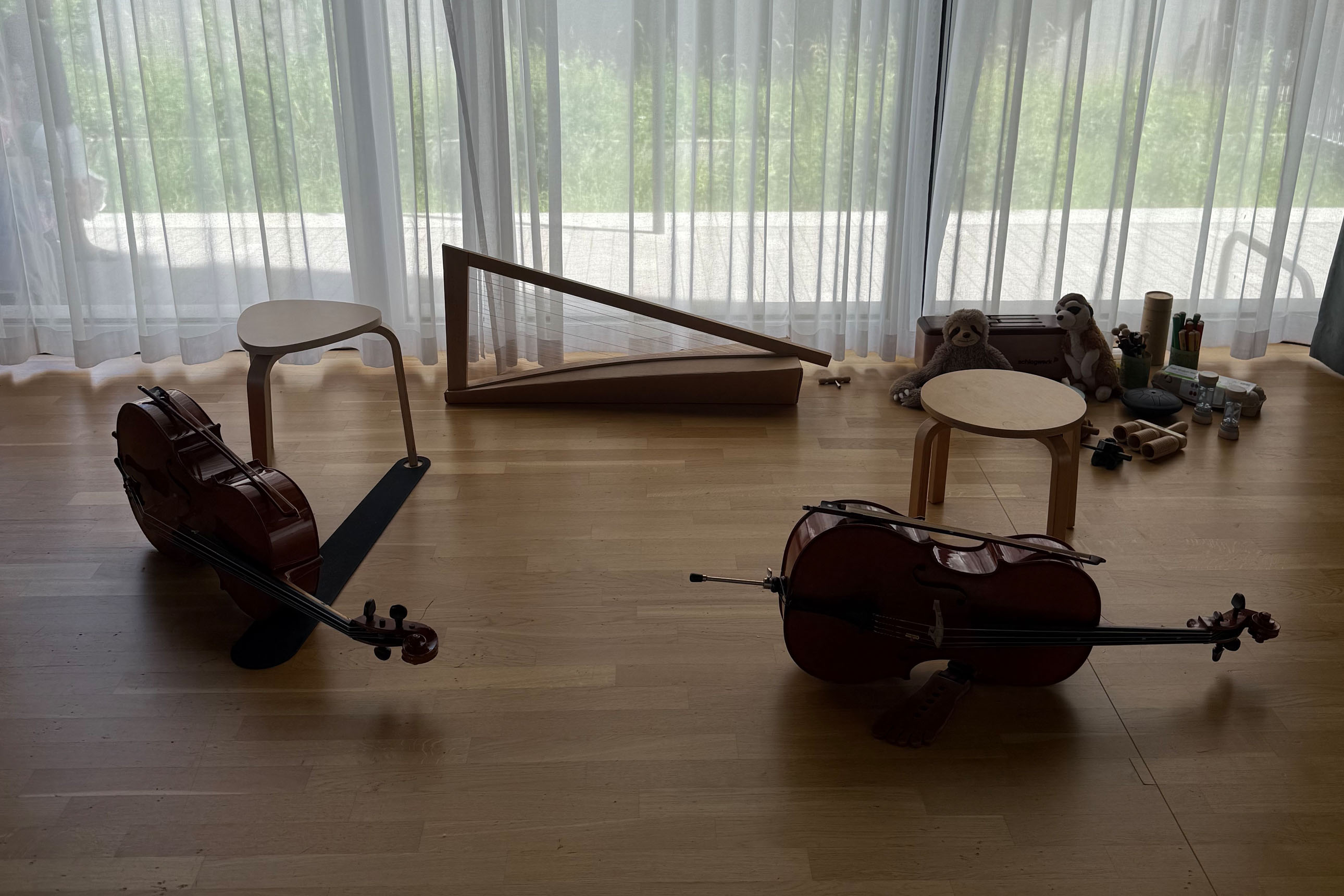 2 violoncelles, une jarpe installés dans une salle